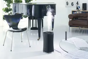 Stadler Form - Eva Black Humidifier