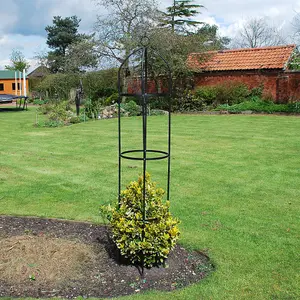 Garden Obelisk Metal Outdoor Trellis Climbing Arch - Dark Green