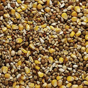 Bucktons Best All Round Bird Food 20kg