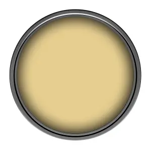 Leyland Trade Vinyl Matt Walls & Ceilings Emulsion Paint Tainted Gold (PPG11-02) 350ml Tester