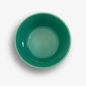 Sur La Table Colour Me Happy Green Cereal Bowl