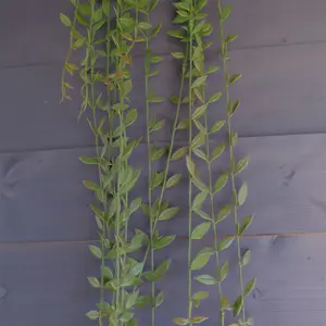 120cm Artificial Hanging Extra Long String of Pearls