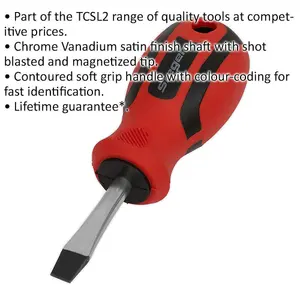 Premium Slotted Screwdriver 6 x 38mm with Soft Grip Handle and Chrome Vanadium Shaft