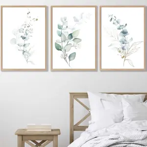 Set of 3 Green Blue Watercolour Eucalyptus Set 2 Wall Art Prints / 50x70cm / Oak Frame