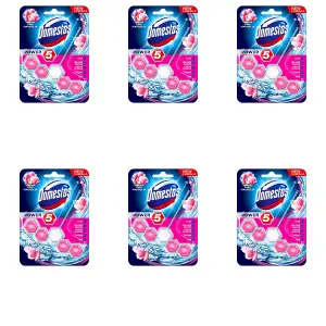 Domestos Power 5 Toilet Rim Block Pink Magnolia 55G (Pack of 6)