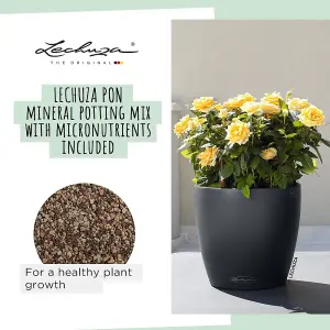 LECHUZA CLASSICO Color (Dia) 60cm Slate Grey Plastic Self-watering Large Round Planter D60 H55.5 cm