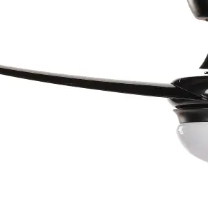 Ceiling Fan with Light Black JIBOA