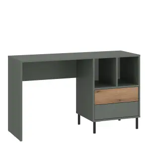 Darwin Desk 2 Drawer in Green/Oak