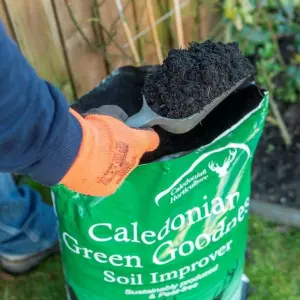 'Green Goodness' Peat Free Compost - 40L Bag - Environmentally Friendly Compost