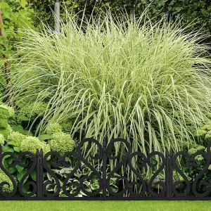 Victorian Style Fencing Garden Edging - Black