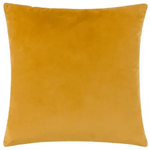 Paoletti Ledbury Velvet Jacquard Polyester Filled Cushion