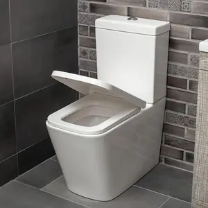 Danby Close Coupled Ceramic Toilet with Soft Close Seat, Quick Release Hinges & Includes Cistern