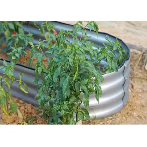 Garden Outdoor Raised Bed Planter Oval Galvanised Steel Trough Box 120x61x30cm