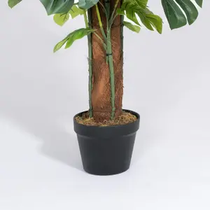 Blooming Artificial - 120cm / 4ft Faux Cheese Plant