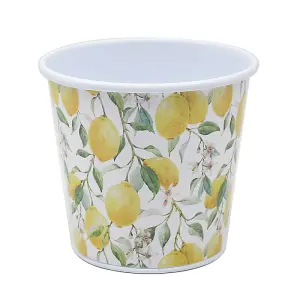 Planter Metal Round 0.6L Small Flower Planting Pot Garden Lemon Grove Summer