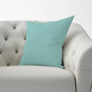 Robin Egg Blue Cushions 60cm x 60cm