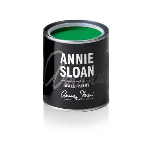 Annie Sloan Wall Paint 120ml Schinkel Green