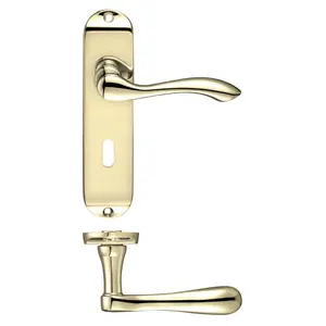 Zubac Lock Door Handle (Set of 2) Electro Brass