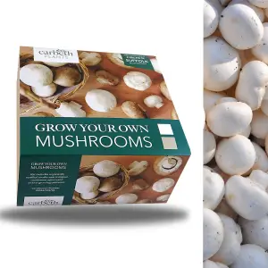 Carbeth Plants White Mushroom Growing Kit - Grow Your Own Suffolk Mushrooms