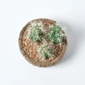 Homescapes Echinocactus Artificial Cactus in Round Wooden Planter, 15 cm Tall