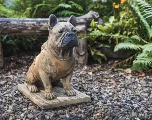 Life-Size French Bulldog Statue