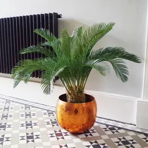 80cm  Cycas Palm Plant Artificial Tropical Tree