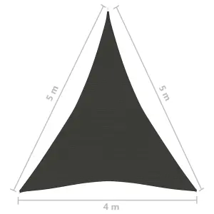 Berkfield Sunshade Sail 160 g/m2 Anthracite 4x5x5 m HDPE