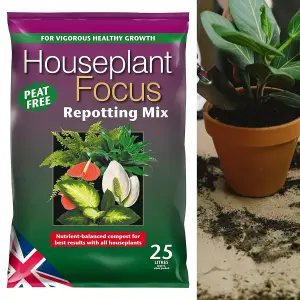 Peat Free Compost for Indoor Plants - 25 Litres - Houseplant Focus Repotting Mix