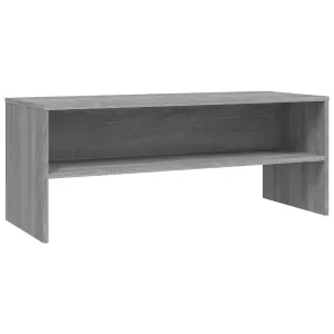 vidaXL TV Cabinet Grey Sonoma 100x40x40 cm Engineered Wood