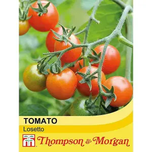 Tomato Losetto F1 Hybrid 1 Seed Packet