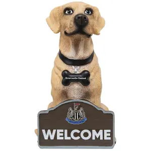 Newcastle United FC Labrador Garden Gnome Brown/White/Black (One Size)