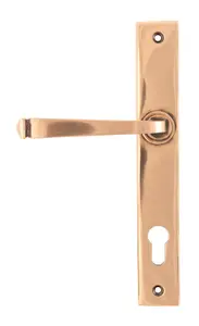 From The Anvil Polished Bronze Avon Slimline Lever Espag. Lock Set