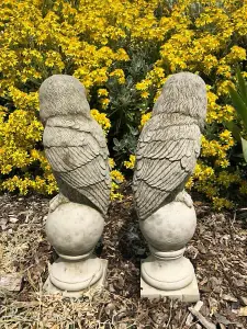 Pair of Barn Owl Finials Stone Statues Outdoor Garden Ornament Animal Sculpture