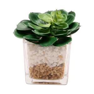 Artificial Succulent Plant in a Glass Pot