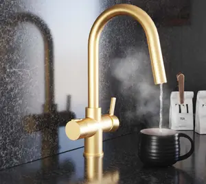 Liquida HT45BG 4 In 1 Gold Pull Out Spray Instant Boiling Water Kitchen Tap