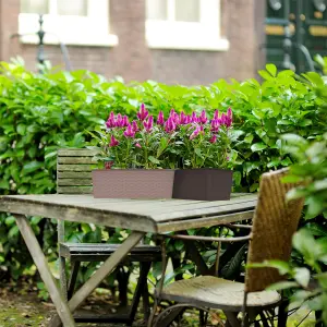 Rectangle Rattan Planter 30cm Brown