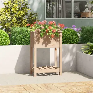 Berkfield Planter with Shelf 54x34.5x81 cm Solid Wood Pine