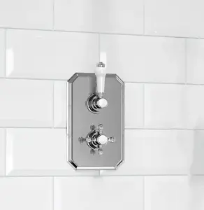 Shower Mixer Valve 1 Way 1 Lever Handle 1 Cross Handle Chrome Finish