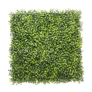 True Products Artificial Boxwood Light Green Plant Living Wall Panel 50cm x 50cm