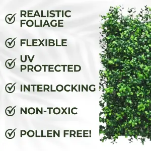 Artificial Plant Flower Living Wall Panels Realistic - Boxwood - Indoor / Outdoor - 1m x 1m - Home, Garden, Office