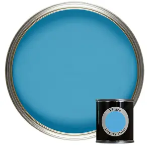 Vintro Luxury Matt Emulsion Blue, Multi Surface Paint for Walls, Ceilings & Wood- 125ml (Trinity)