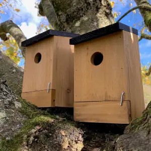 Traditional Wooden Bird Nest Box Birdhouses with Removable Bases (Set of 2)