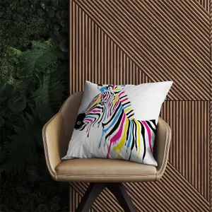 Multi Coloured Zebra Outdoor Cushion 60cm x 60cm