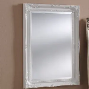 Burdette Glass Flat Wall Mirror Silver / 103 cm H x 73 cm W