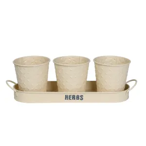 simpa 3PC Cream Herb Pot Planters with Embossed Decorative Finish & Tray