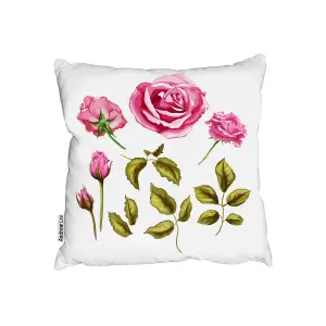 Cushions - Roses & Leaves (Cushion) / 45cm x 45cm