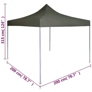 Berkfield Professional Folding Party Tent 2x2 m Steel Anthracite