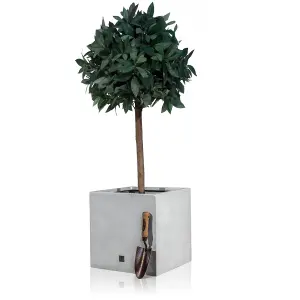 Primrose Fibreglass Cube Gloss Planter in Black 50cm