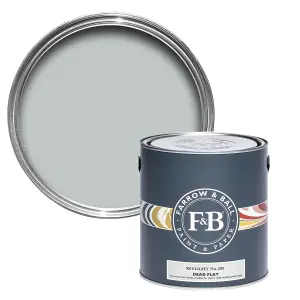 Farrow & Ball Dead Flat Mixed Colour 205 Skylight 750ml