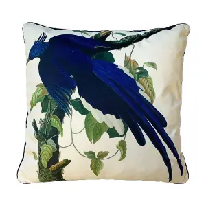 John James Audubon Columbia Jay Filled Cushion Multicoloured (55cm x 55cm)